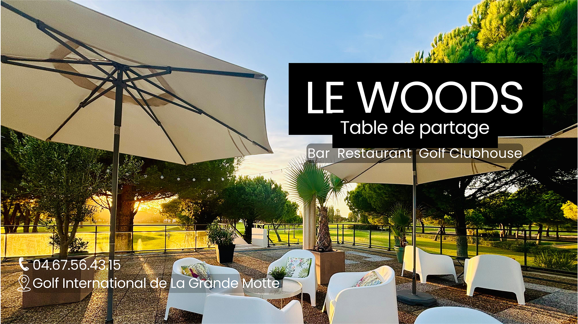 WOODS Bar & Restaurant